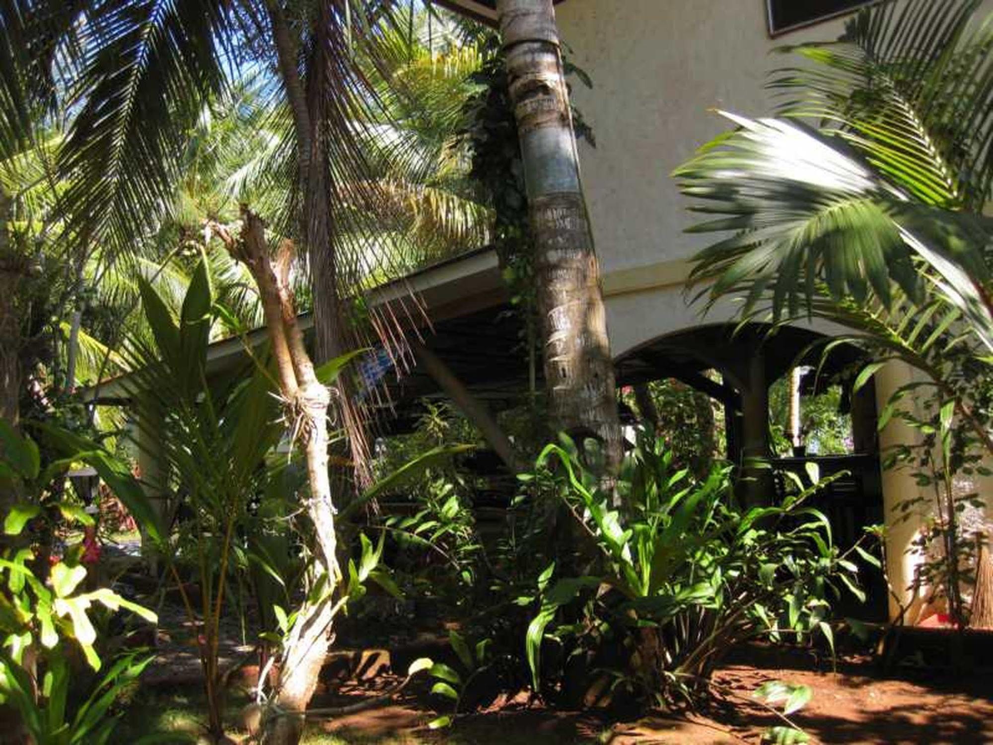 פנגלאו Calypso Resort מראה חיצוני תמונה